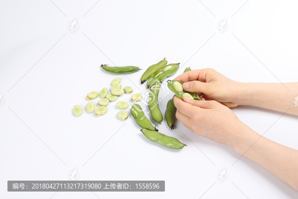 剥蚕豆,择菜