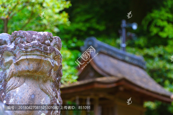 日本宇治神社