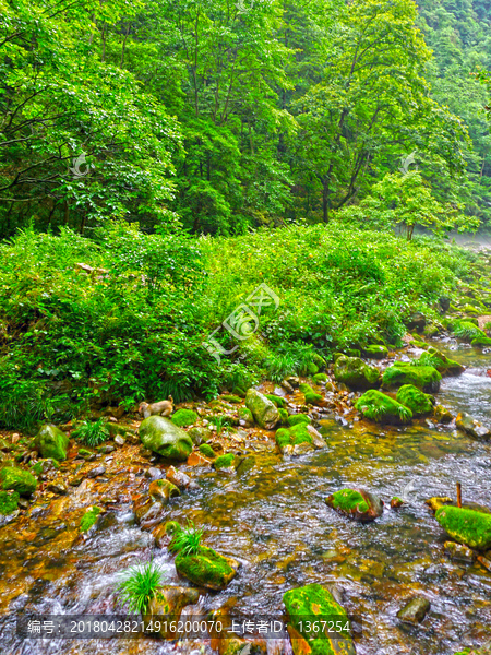 山林小溪