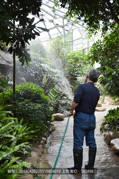 热带植物馆园丁