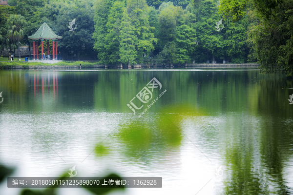 春意成诗谷雨天