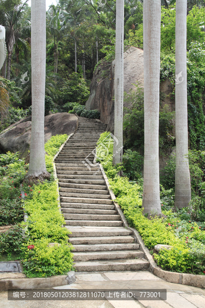 台阶