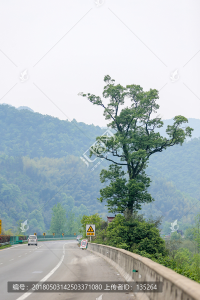 高速,安徽高速,高速公路,公路