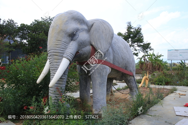 大榕树,温泉,德宏,芒市风光