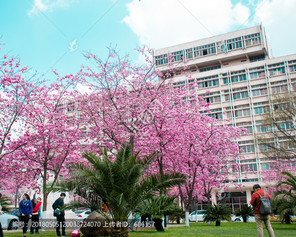 昆明理工大学