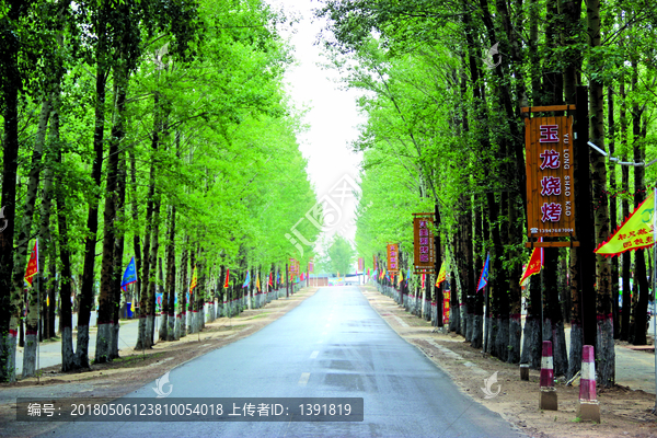 内蒙古乡村道路