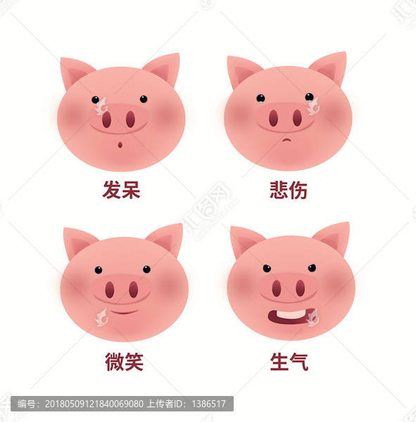 小豬