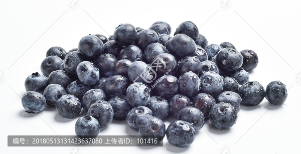 新鲜蓝莓水果,白底图
