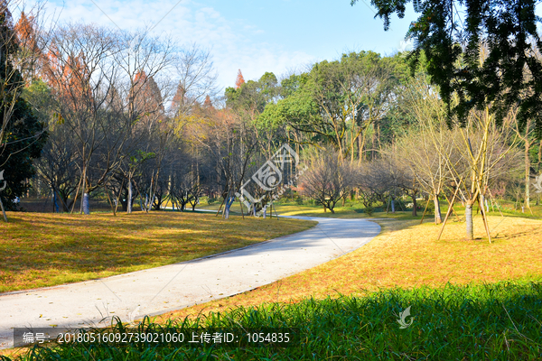 唯美风景,杭州植物园