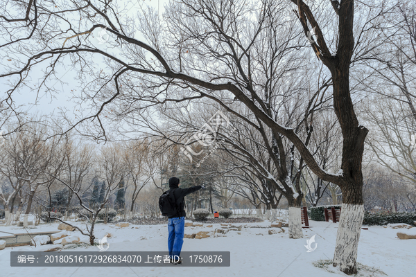 公园雪景