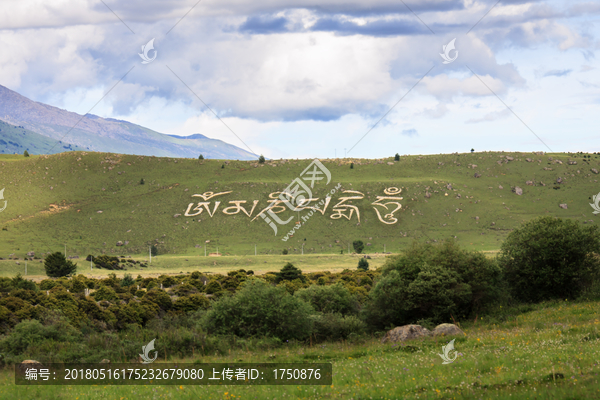 高原风景