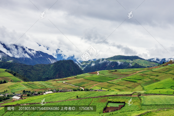 香格里拉风景