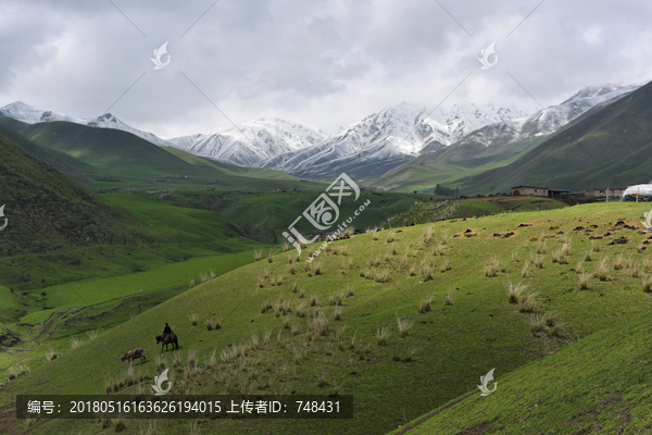 那拉提风光,伊犁草原风光