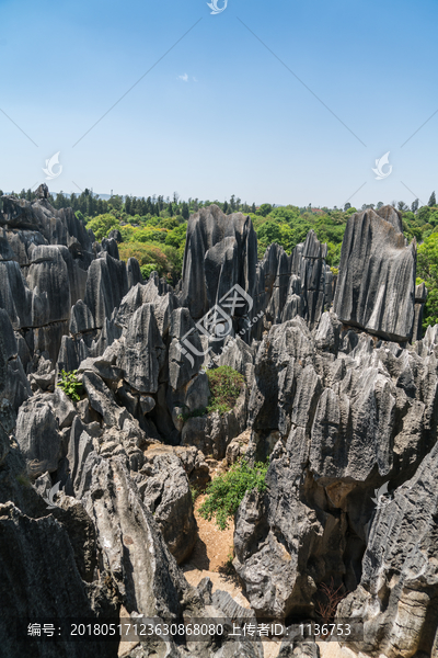 云南石林风景区