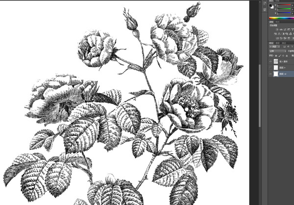 復(fù)古薔薇手繪