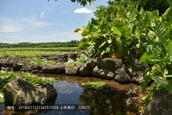 林间溪流