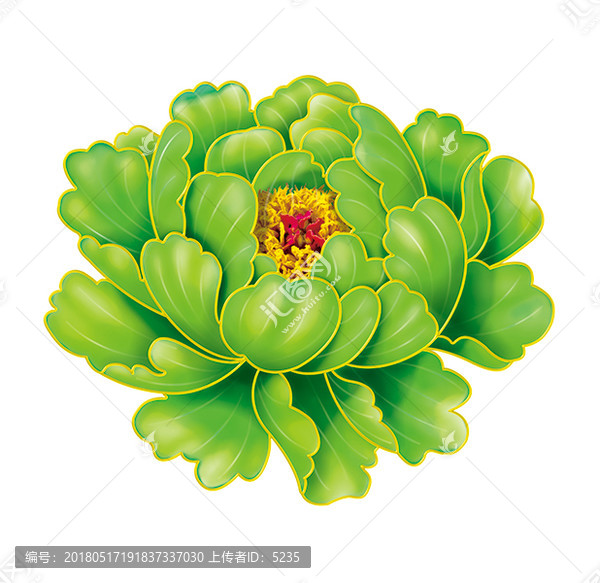 綠牡丹