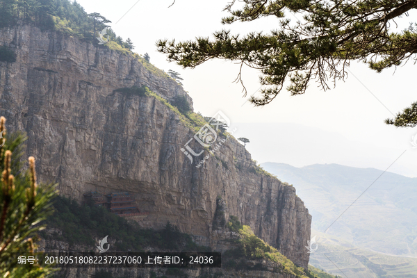 北岳恒山,恒山松