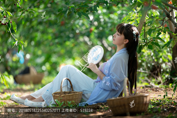 櫻桃園里的美女