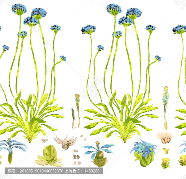 小花植物