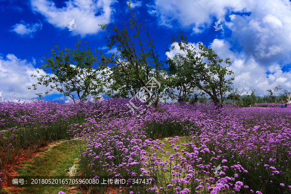 休闲度假村景观