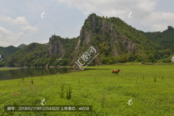 草地,山峰,河流