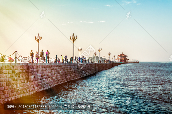 礁石,海浪,青岛栈桥