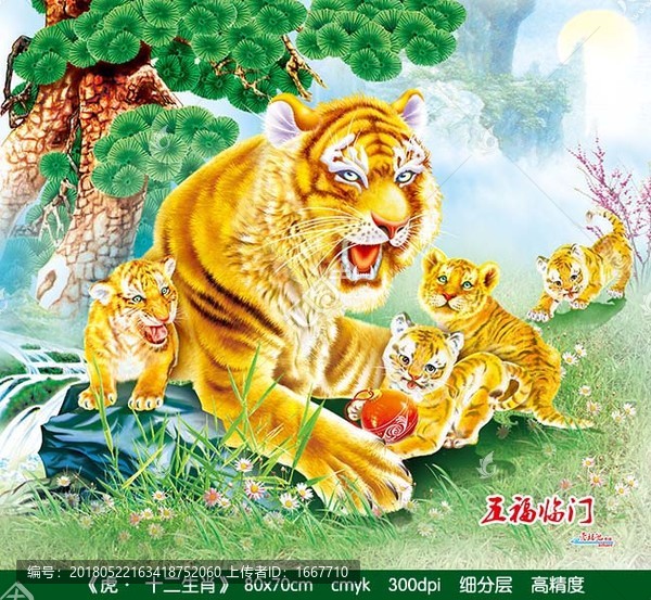 虎,生肖
