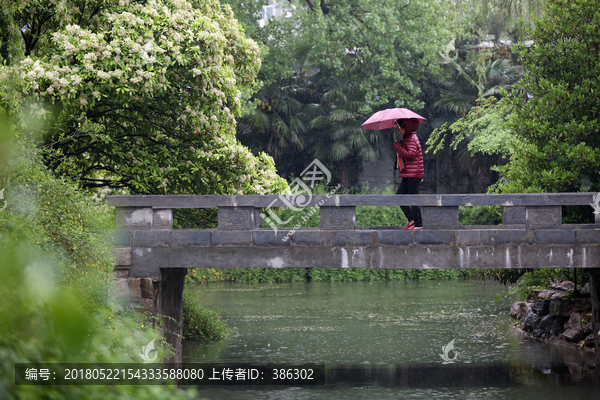 雨中行走的人