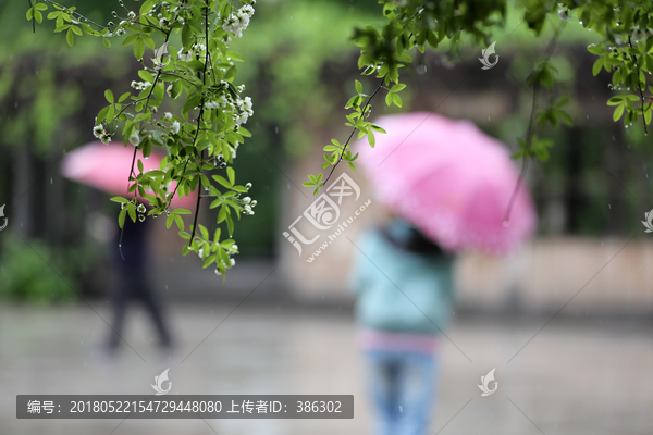 雨中即景