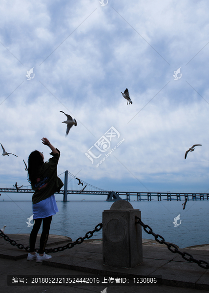 喂海鸥的美女侧影