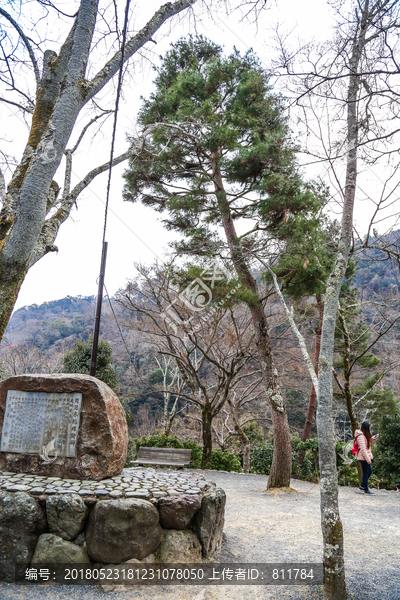 日本岚山