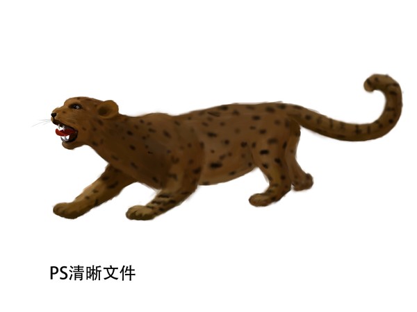 手繪金錢豹