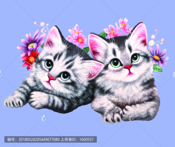 萌寵,貓,卡通貓,手繪,明信片