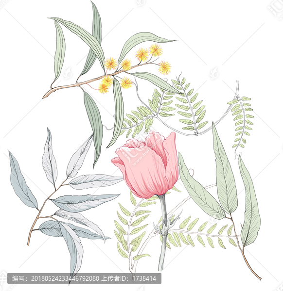 枝葉,花卉