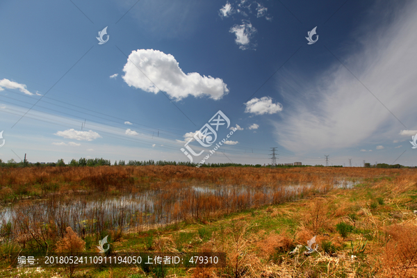 江堤,湖堤,河堤,堤坝