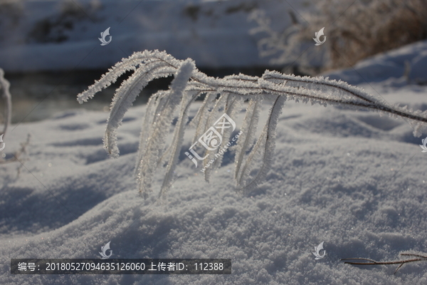 雾淞,雪景,冰天雪地,奇观,玉