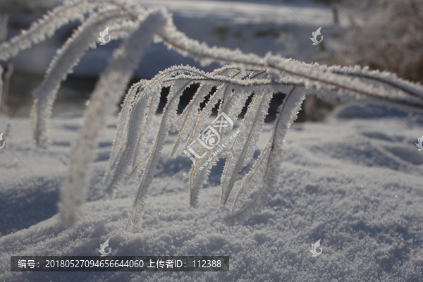 雾淞,雪景,冰天雪地,奇观,玉