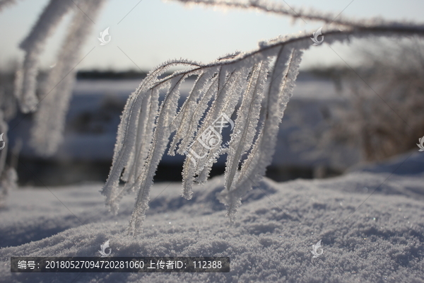 雾淞,雪景,冰天雪地,奇观,玉