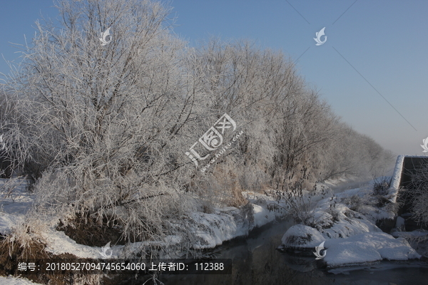 雾淞,雪景,冰天雪地,奇观,玉