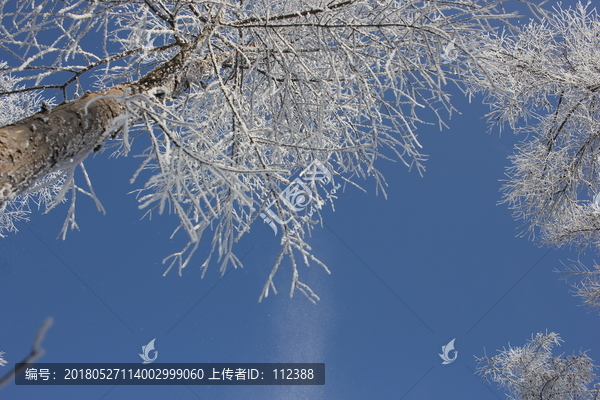 雾淞,雪景,冰天雪地,奇观,玉