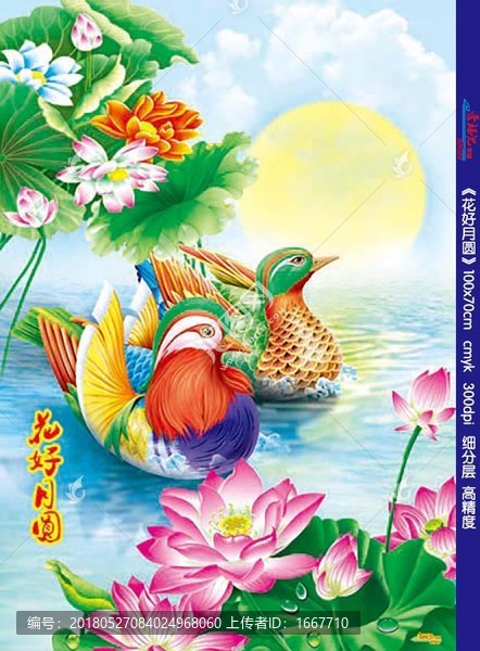 鴛鴦,花好月圓