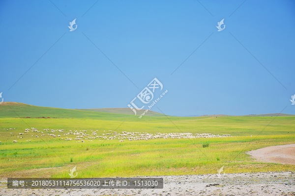 内蒙古草原上的风景