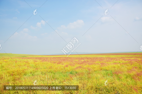 内蒙古草原上的风景