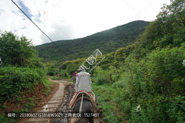 茶马古道