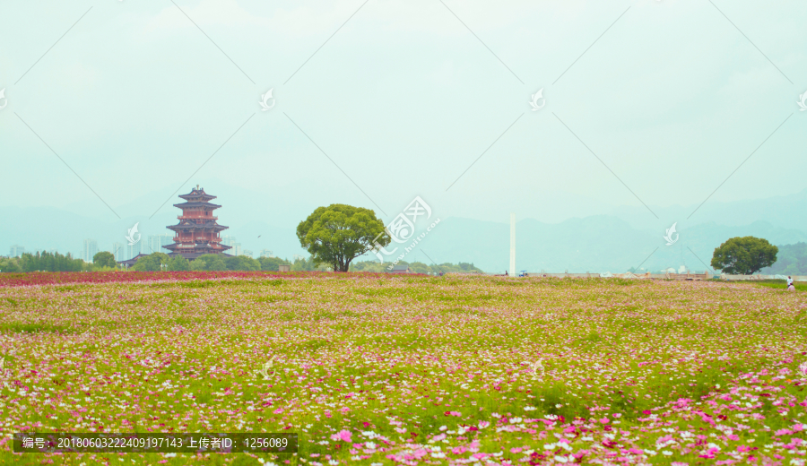 丽水花海应星楼