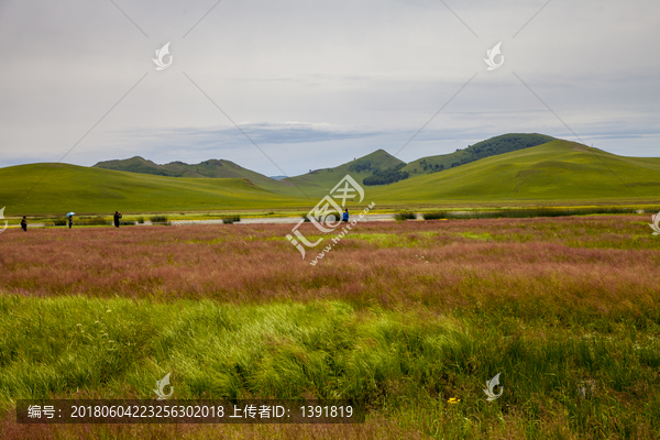 乌兰布统旅游景区,围场坝上草原