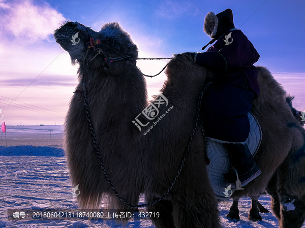 骑骆驼的蒙古人