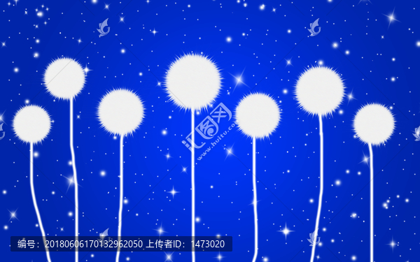 蒲公英