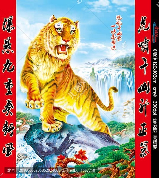 虎,老虎,老虎圖